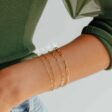 paperclip-s-bracelet-808971